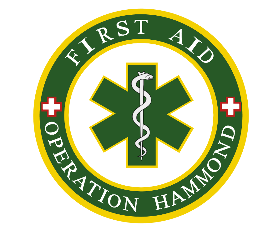 Star of Life Logo (3)